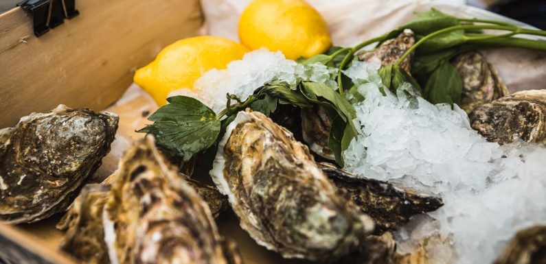 Třetí ročník food festivalu „Středomoří“ na smíchovské náplavce